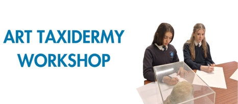 Year 10 Art Taxidermy Workshop